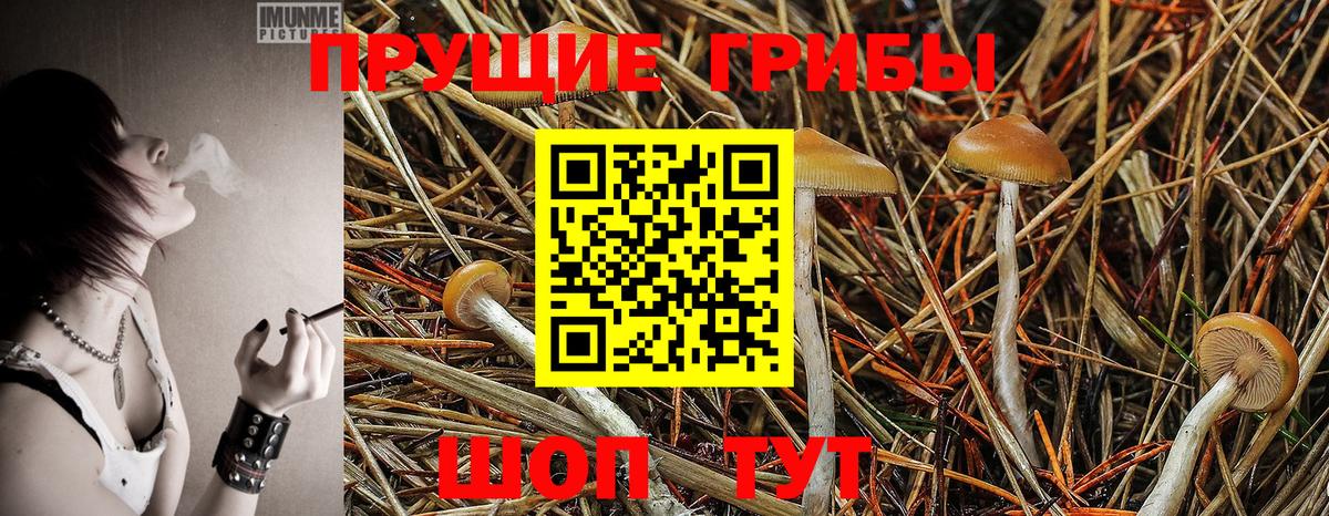 Галлюциногенные грибы мухоморы  Вход с VPN  Псилоцибиновые грибы MAGIC MUSHROOMS  Добрянка 